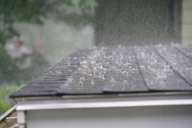 Best Gutter Installation and Repair  in Withamsville, OH