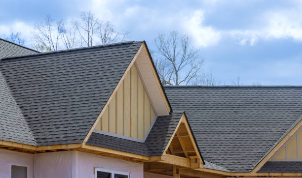 Best Skylight Installation and Repair  in Withamsville, OH